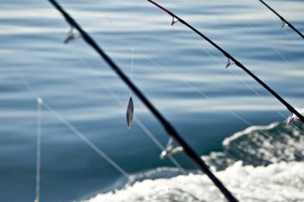 Several fishing rods lined up over the side of a boat with water in the background and small waves.