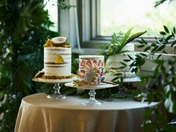 The image shows a table with three artistic cakes. The setting is decorated with lush greenery near a window, adding a fresh ambiance.