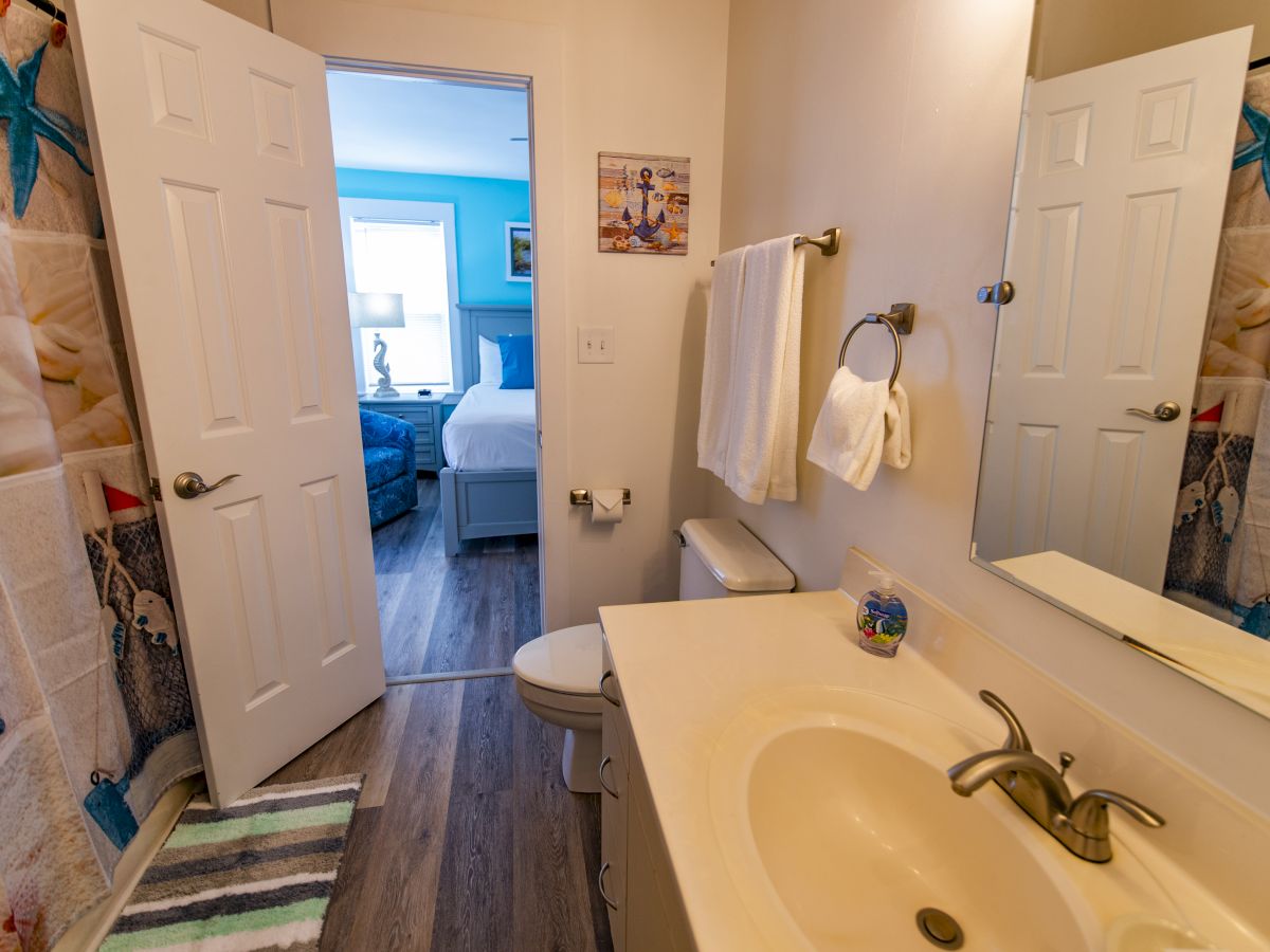 This image shows a bathroom with a sink, mirror, toilet, towel rack, and motif shower curtain. There's a doorway leading to a bedroom.