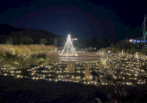 A nighttime scene featuring a garden adorned with numerous lights and a central structure resembling a Christmas tree made of lights.