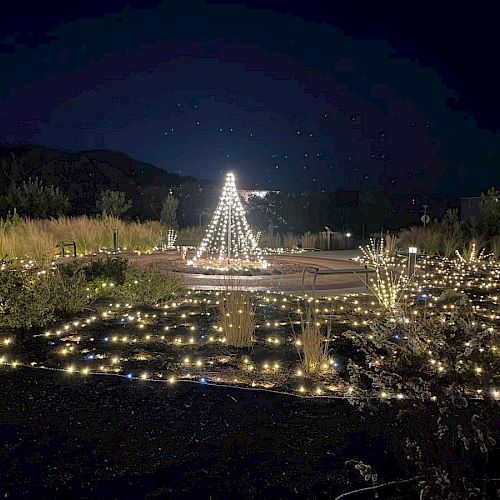 A nighttime scene featuring a garden adorned with numerous lights and a central structure resembling a Christmas tree made of lights.