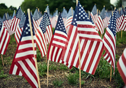 The image shows multiple American flags planted in the ground, likely part of a patriotic display or event, with green grass and trees in the background.