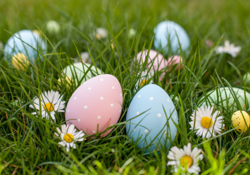 The image shows colorful Easter eggs placed in green grass with white daisies scattered around. The eggs are decorated with polka dots.