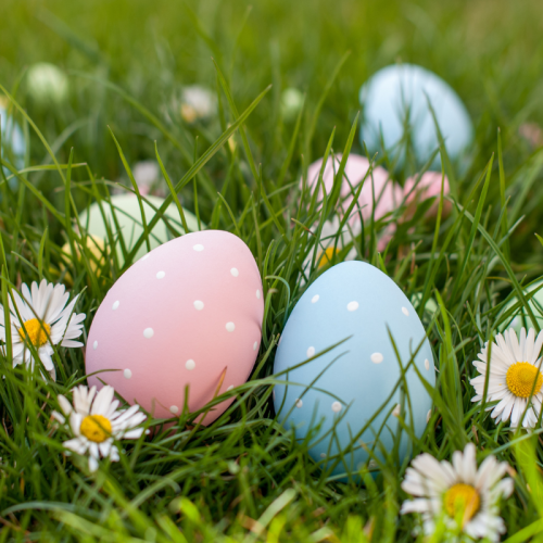 The image shows colorful Easter eggs placed in green grass with white daisies scattered around. The eggs are decorated with polka dots.