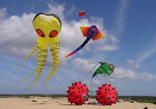 The image shows a beach scene with colorful kites flying, including an octopus, a fish, and other unique shapes under a clear sky.