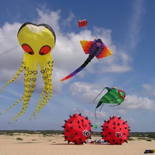 The image shows a beach scene with colorful kites flying, including an octopus, a fish, and other unique shapes under a clear sky.