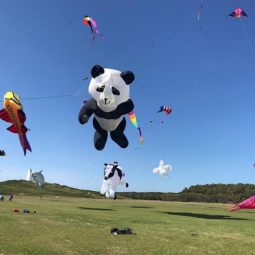 Large, colorful kites shaped like animals and various objects are flying in a clear blue sky over a grassy field.