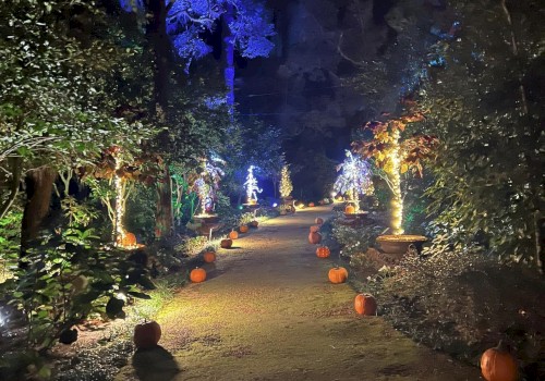 A pathway in a forest at night is illuminated by string lights and pumpkins, creating a festive atmosphere.