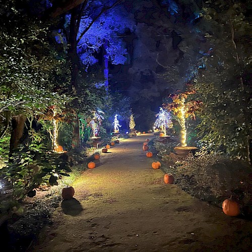 A pathway in a forest at night is illuminated by string lights and pumpkins, creating a festive atmosphere.